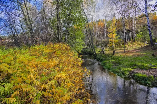 Paisagem de outono com pequeno rio rural à beira da aldeia — Fotografia de Stock