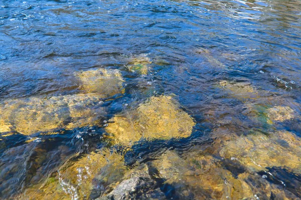 Ρεύματα νερού από έναν ορεινό ποταμό πλύσιμο πέτρες που καλύπτονται με χρωματιστά βρύα. — Φωτογραφία Αρχείου