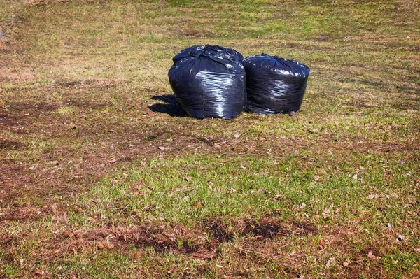 Usuwanie liści. Czarne plastikowe torby z zeszłorocznej suchej liście na trawniku w parku. — Zdjęcie stockowe