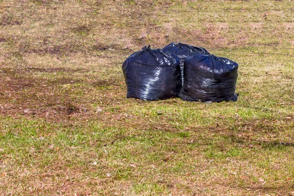 Laubentfernung. schwarze Plastiktüten mit dem trockenen Laub des letzten Jahres auf dem Rasen im Park. — Stockfoto