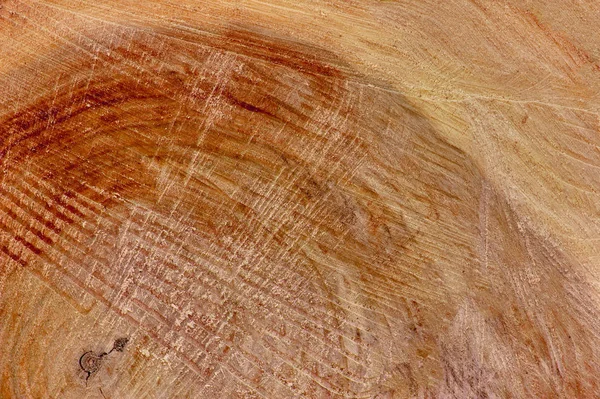 Texturen av det skurna gamla trädet med årliga ringar. — Stockfoto