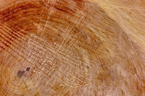Texturen av det skurna gamla trädet med årliga ringar. — Stockfoto