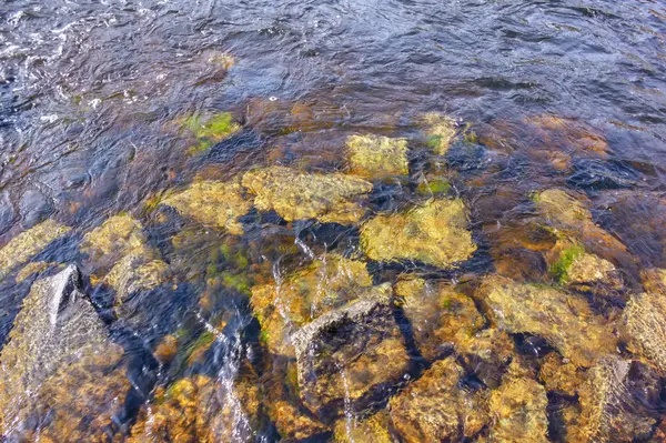 Flussi dell'acqua di un fiume di montagna che lava pietre coperte di muschio colorato . — Foto Stock