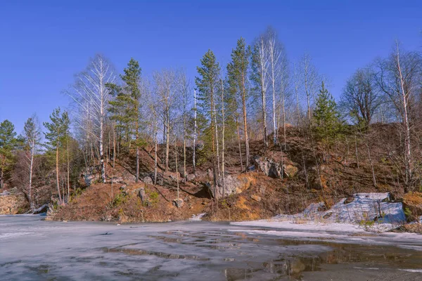 Vroege lente ijs smelt op een bos meer. — Stockfoto