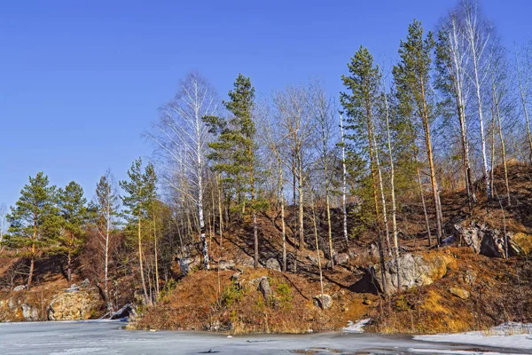 Il ghiaccio primaverile si scioglie su un lago forestale . — Foto Stock
