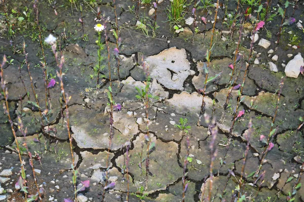 Suchej ziemi pęknięty tło, pustynia fakturą gliny — Zdjęcie stockowe