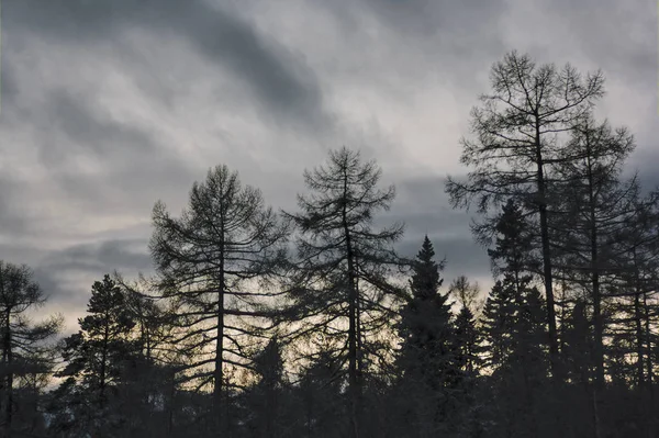 Schöne Winterlandschaft in den Bergen. Sonnenuntergang — Stockfoto