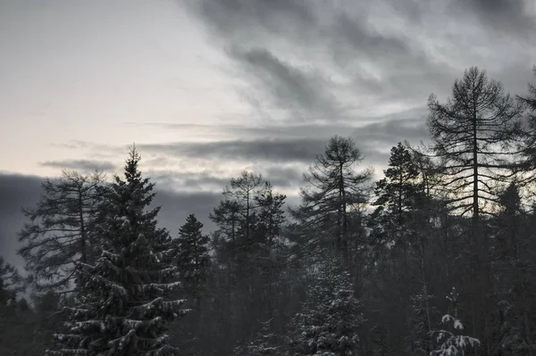 Beau paysage hivernal dans les montagnes. Coucher de soleil — Photo