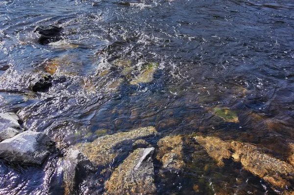 Water streams of a mountain river washing stones covered with colored moss. — Stock Photo, Image