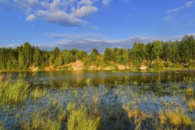 Yaz peyzaj ağaçları nehrin aynasına yansıdı.