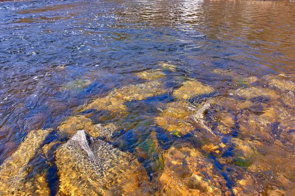 Water streams of a mountain river washing stones covered with colored moss. — Stock Photo, Image