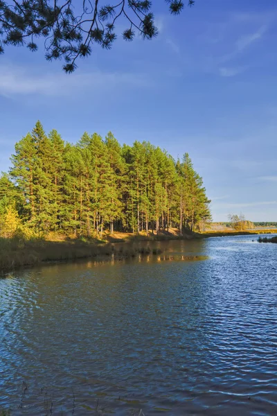 Paysage d'automne journée chaude ensoleillée dans la forêt au bord de la rivière — Photo