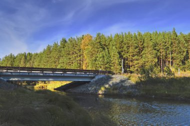 Sonbahar manzara güneşli sıcak bir günde orman nehir kıyısında