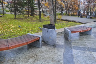 Şehir parkında sonbahar. Ağacın yanında boş bir bank. Sonbahar sezonunda güzellik doğa sahnesi.