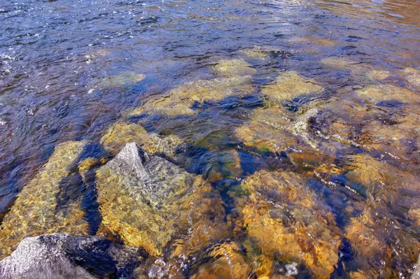 Water stromen van een bergrivier wassen stenen bedekt met gekleurd mos. — Stockfoto