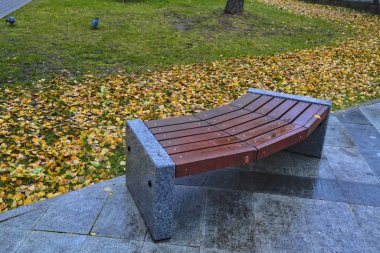 Şehir parkında sonbahar. Ağacın yanında boş bir bank. Sonbahar sezonunda güzellik doğa sahnesi.