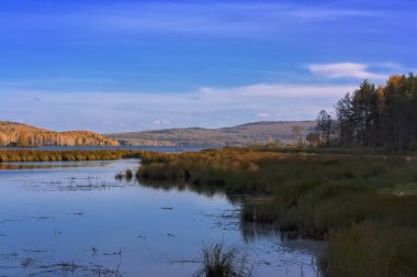 Sonbahar manzara güneşli sıcak bir günde orman nehir kıyısında