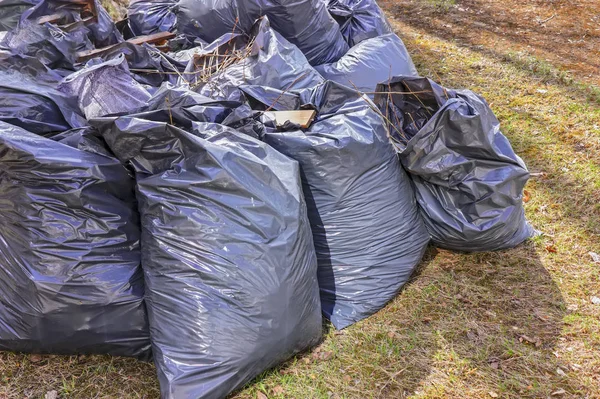 Laubentfernung. schwarze Plastiktüten mit dem trockenen Laub des letzten Jahres auf dem Rasen im Park. — Stockfoto