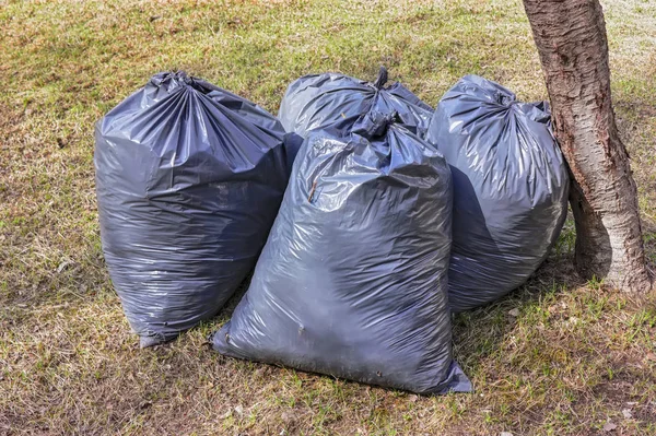 Laubentfernung. schwarze Plastiktüten mit dem trockenen Laub des letzten Jahres auf dem Rasen im Park. — Stockfoto