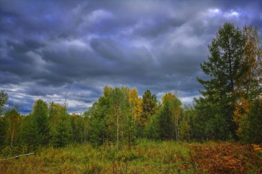 Orman kenarında gün batımı. Sonbahar manzarası.