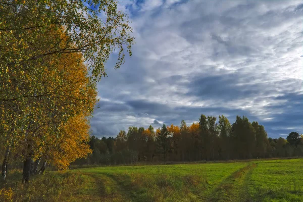 Tramonto ai margini della foresta. Paesaggio d'autunno . — Foto Stock