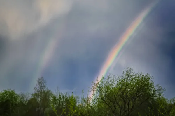 Double rainbow in the sky above the forest before sunset.