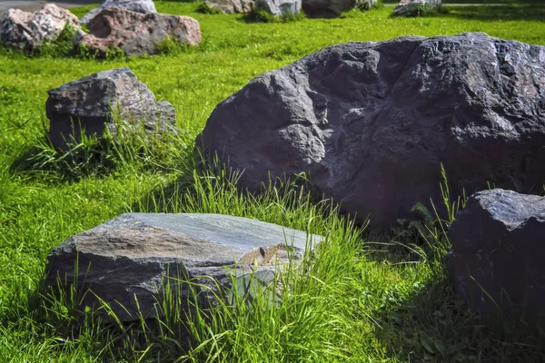 Garden of stones on the green lawn in the park. — Stock Photo, Image