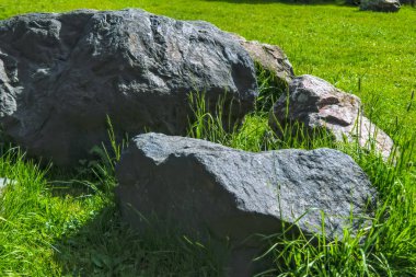 Parktaki yeşil çimenlikteki taş bahçesi.