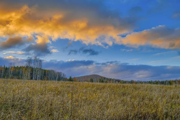 Autumn landscape with dried grass in the meadow on the background of forest and sunset sky