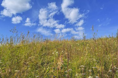 Gökyüzü ve bulutlar karşı dağda yaz manzara