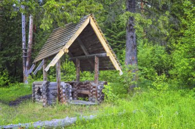 Ormanda kütük çardak.