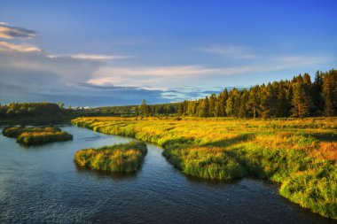 Ormanların ve dağların arka planında ağaçları yansıtan yaz manzara nehri.
