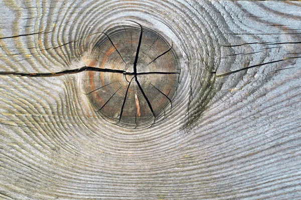 A textúra a szelet a régi rohadt Stump a repedések és az éves gyűrűk. — Stock Fotó
