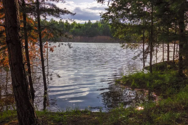 Paisaje de verano en la orilla de un lago forestal con agua azul transparente . — Foto de Stock