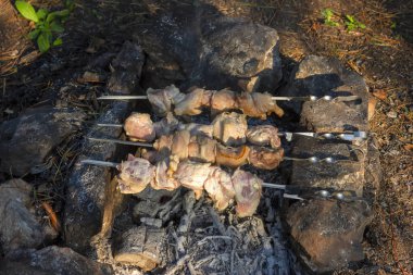Kavurmalar üzerinde Shish Kebap ormanda taşlar yapılmış bir mangal üzerinde kızarmış.