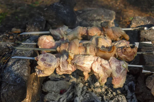 Shish kebab su spiedini è fritto su un braciere fatto di pietre nella foresta . — Foto Stock