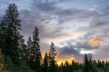 Sonbaharda Ural Dağları orman kenarında günbatımı.