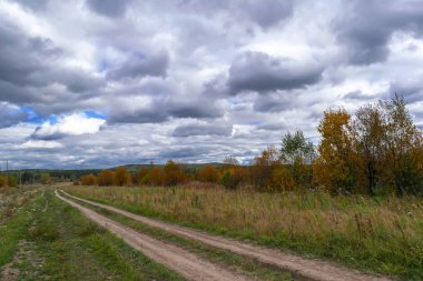 Orman kenarında gün batımı. Sonbahar manzarası.