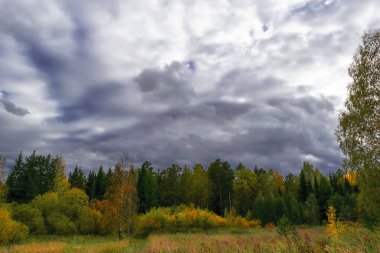 Orman kenarında gün batımı. Sonbahar manzarası.