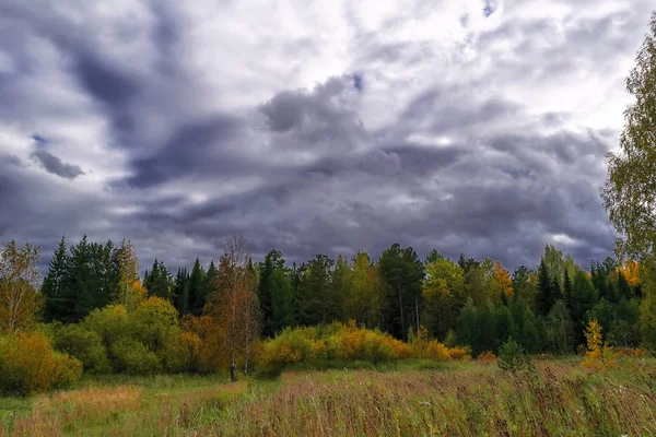 Tramonto ai margini della foresta. Paesaggio d'autunno . — Foto Stock