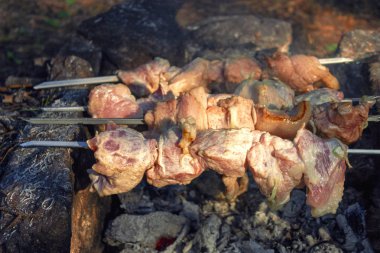 Kavurmalar üzerinde Shish Kebap ormanda taşlar yapılmış bir mangal üzerinde kızarmış.