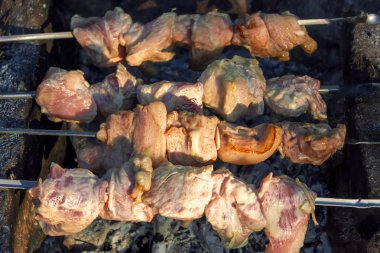 Kavurmalar üzerinde Shish Kebap ormanda taşlar yapılmış bir mangal üzerinde kızarmış.