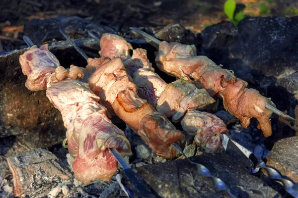 Shish kebab on skewers is fried on a brazier made of stones in the forest. — Stock Photo, Image