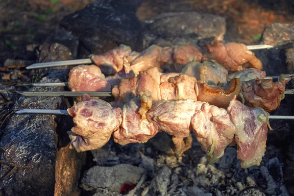 Το σις κεμπάπ σε καλαμάκια τηγανίζεται σε ένα μαγκάλι φτιαγμένο από πέτρες στο δάσος. — Φωτογραφία Αρχείου