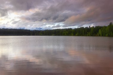 Berrak şeffaf mavi su ile bir orman gölü kıyısında Yaz manzara. Günbatımı.