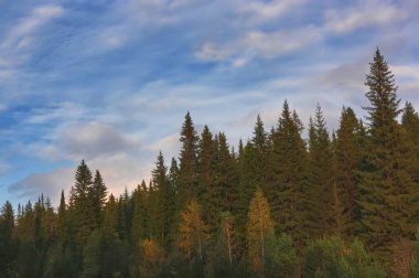 Sonbaharda Ural Dağları orman kenarında günbatımı.