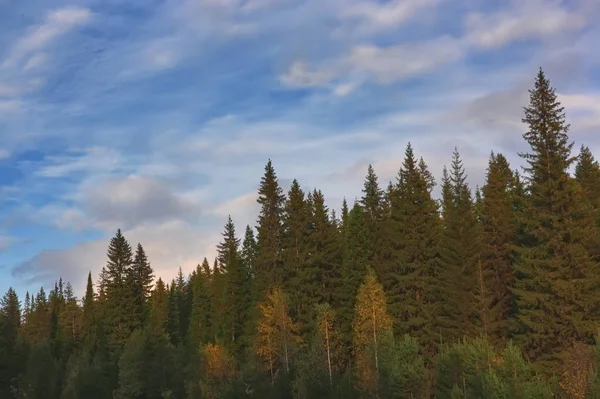 Puesta de sol en el borde del bosque en las montañas de los Urales en otoño . — Foto de Stock