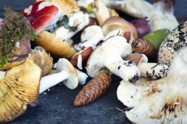 Eski ahşap arka planda orman mantarı. Masada taze çiğ mantar.