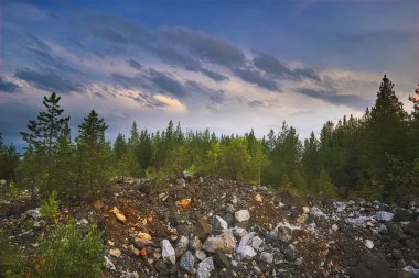 Göl yaz manzara tarafından ormanda gün batımı.
