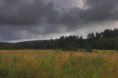 Orman kenarında gün batımı. Sonbahar manzarası.